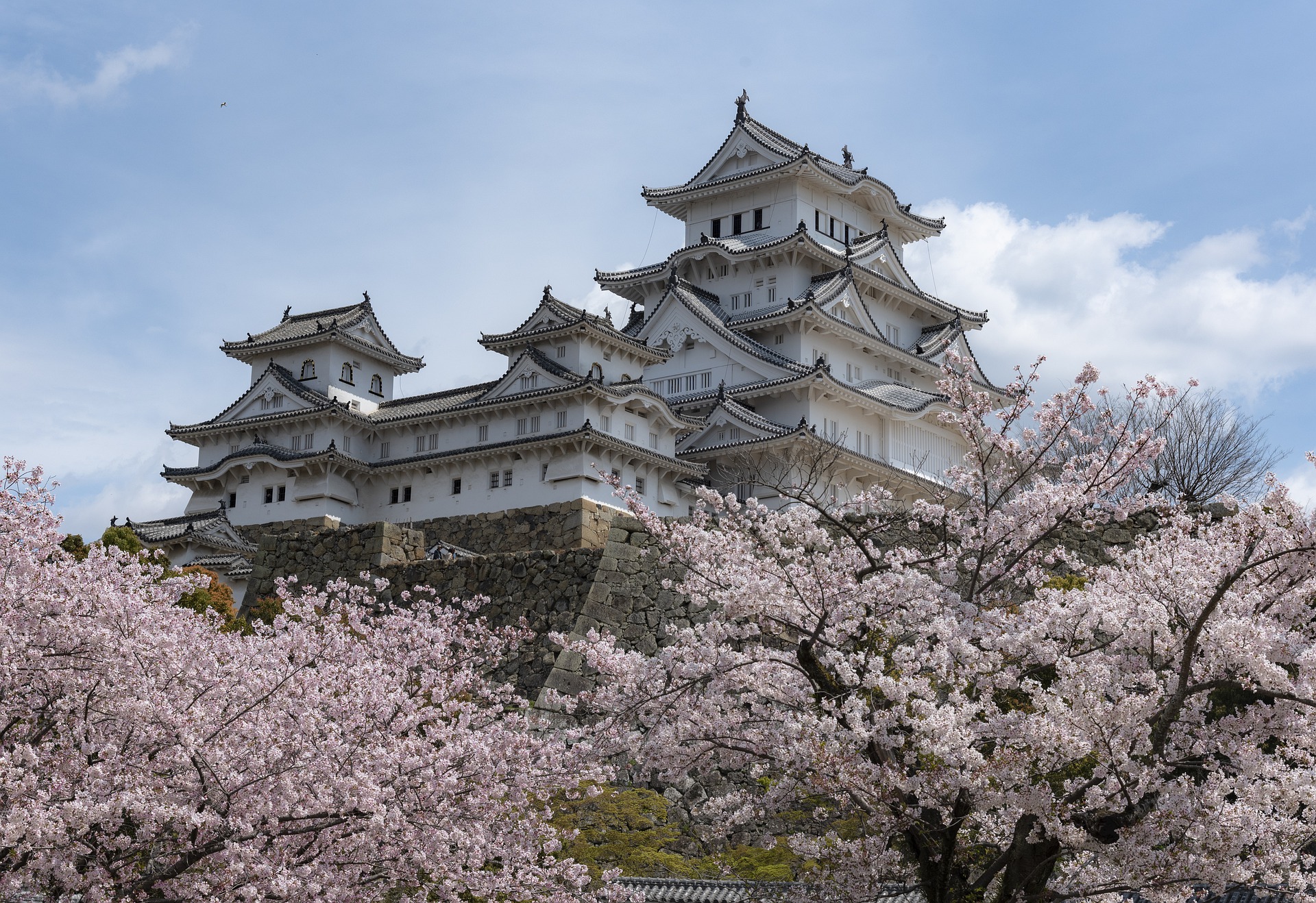 Shikoku Spring Sakura Discovery