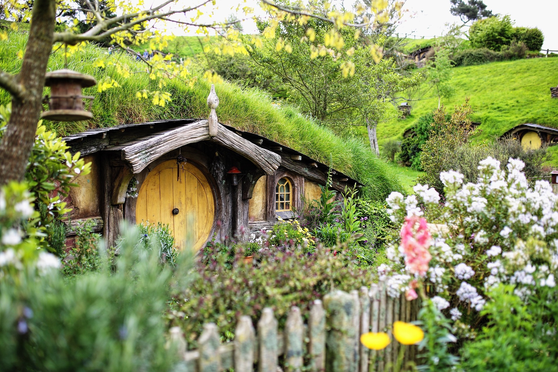 Adventures to New Zealand